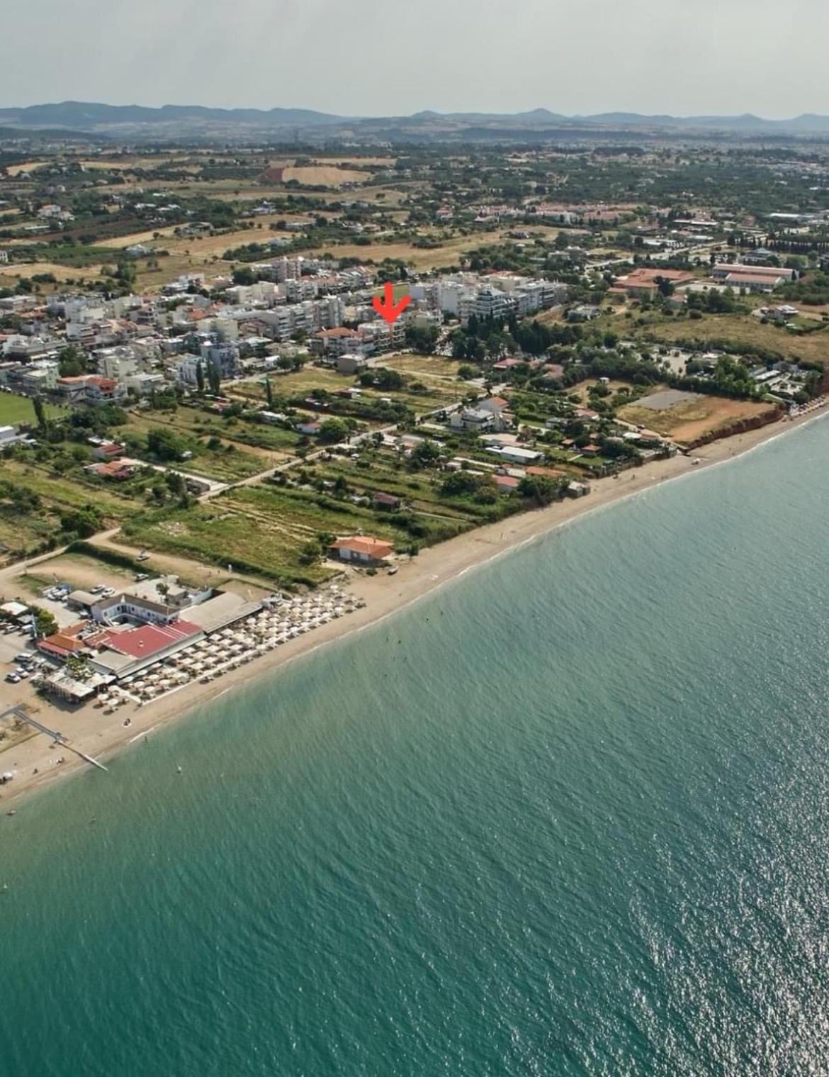 Φωτεινό Studio Με Θεα Θάλασσα Aleksandropolis Zewnętrze zdjęcie
